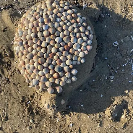 Panos Apartament Laganas