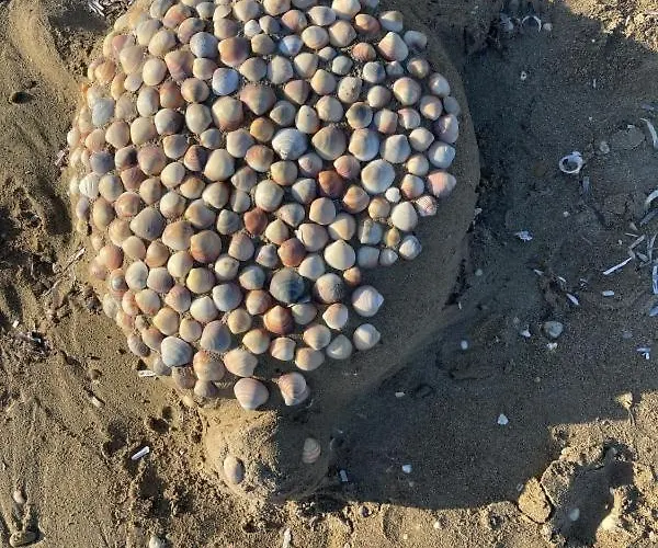 Panos 아파트 라가나스